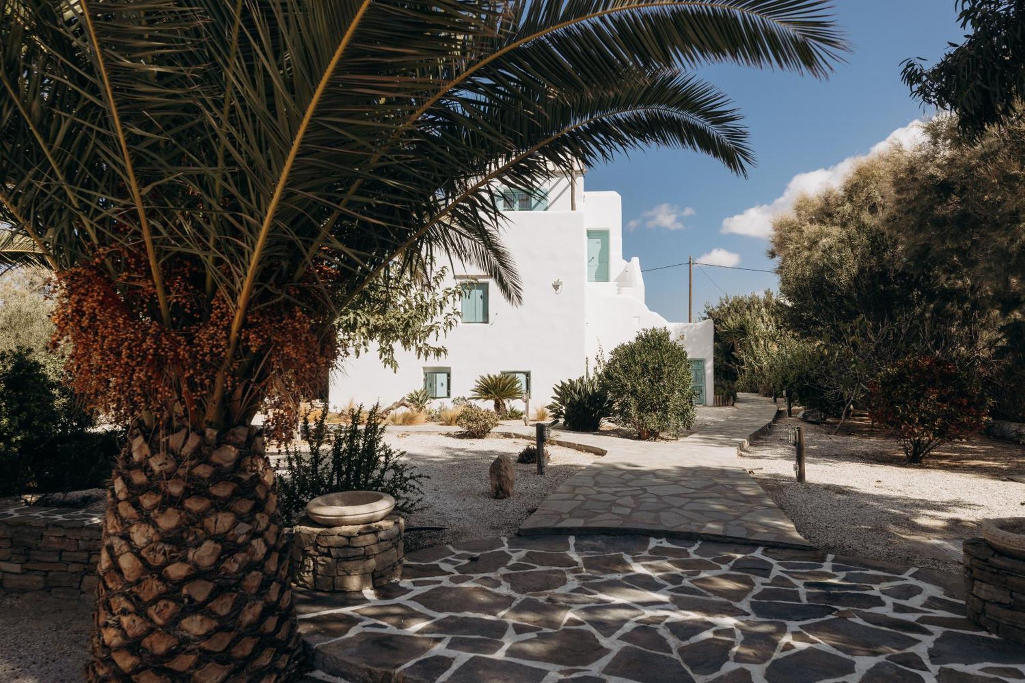 Medusa Beach Resort & Suites Pláka エクステリア 写真